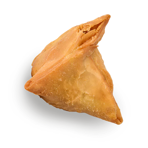 Veggie Samosa
