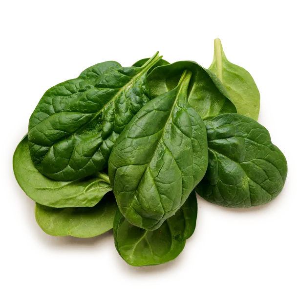 Spinach